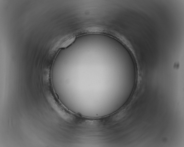 X0000111480057200907281212
