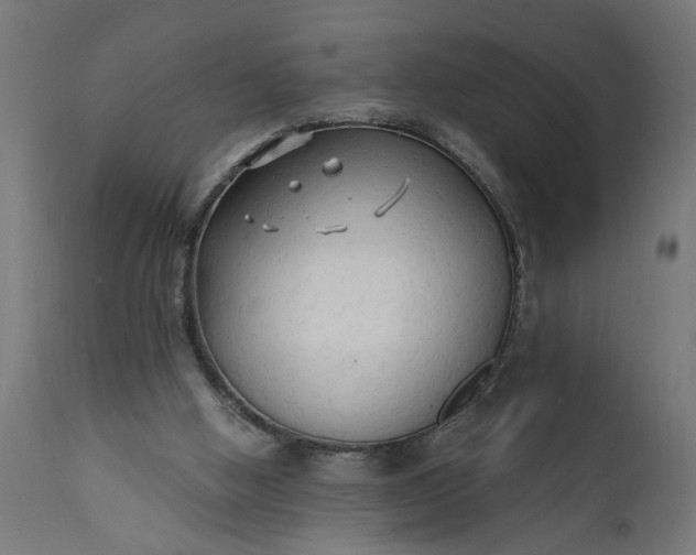X0000111480058200907281212
