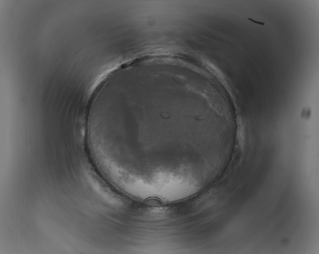 X0000111480059200907281212