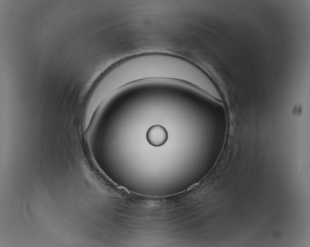 X0000111480060200907281212