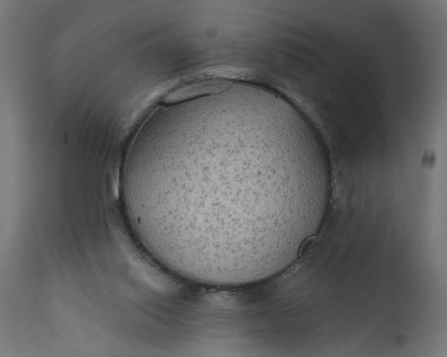 X0000111480062200907281212