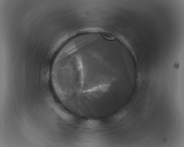 X0000111480063200907281212
