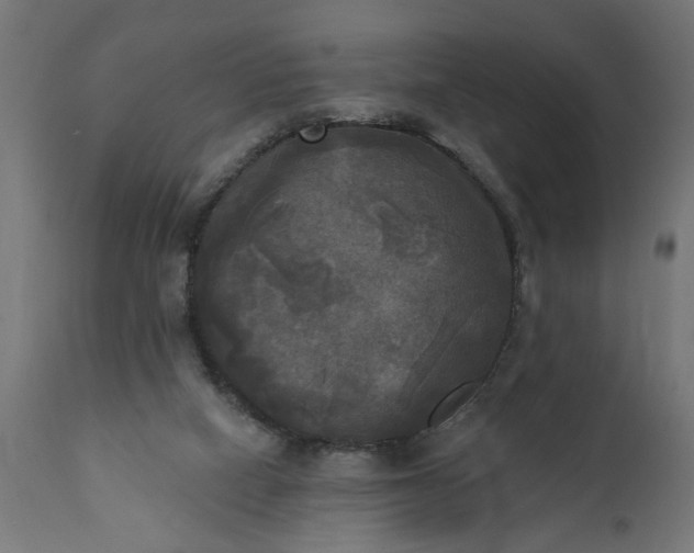 X0000111480066200907281212