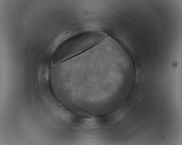 X0000111480068200907281213
