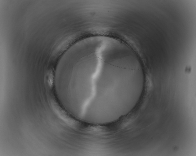 X0000111480069200907281213