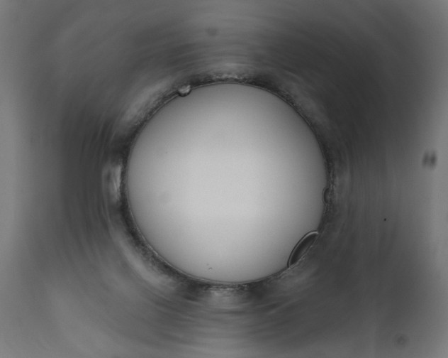 X0000111480070200907281213