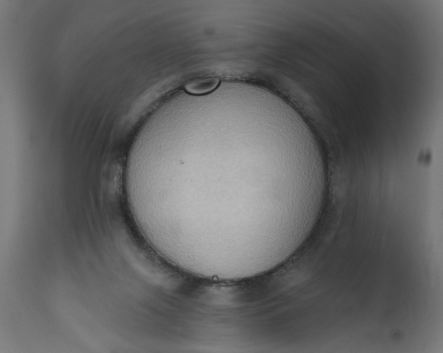 X0000111480071200907281213