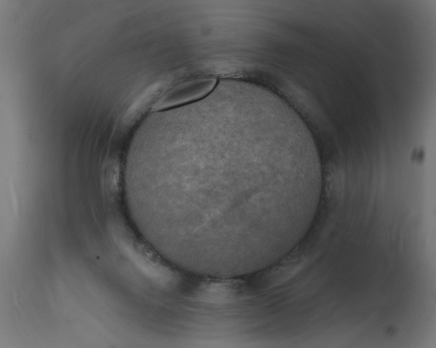 X0000111480072200907281213