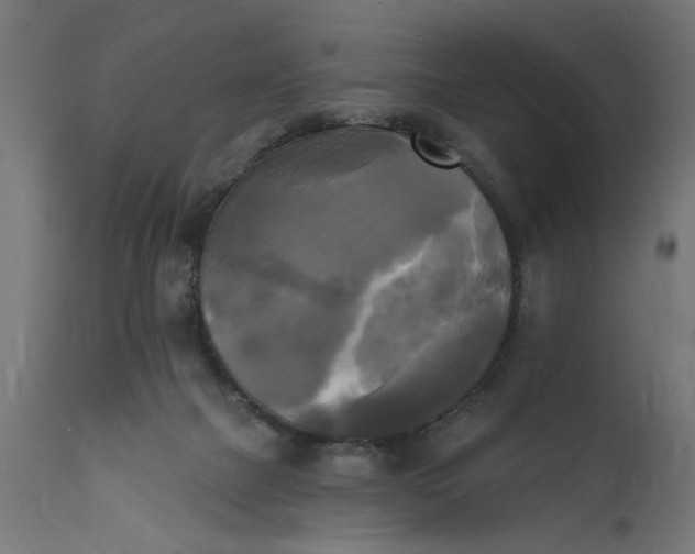 X0000111480073200907281213