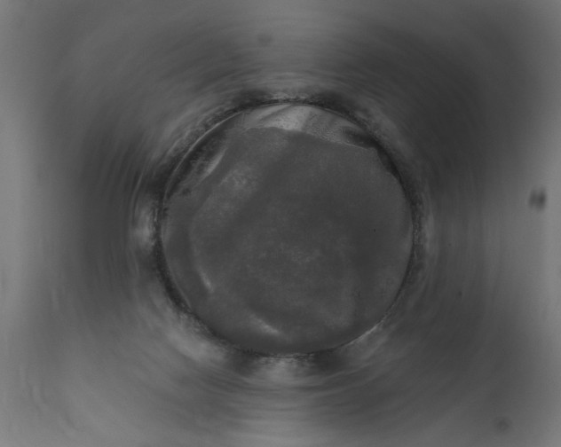 X0000111480074200907281213