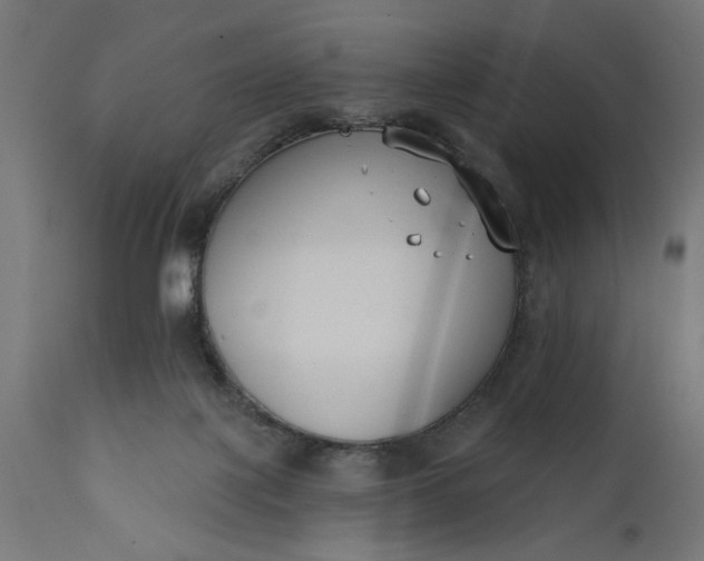X0000111480075200907281213