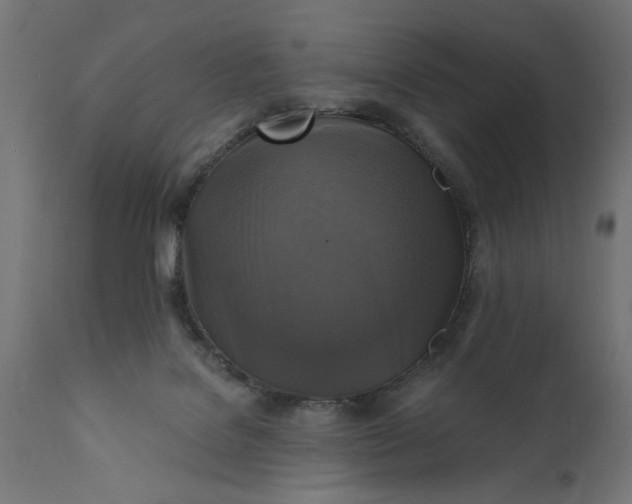 X0000111480076200907281213