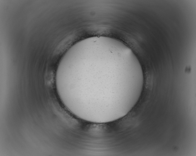 X0000111480077200907281213