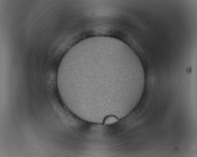 X0000111480079200907281213