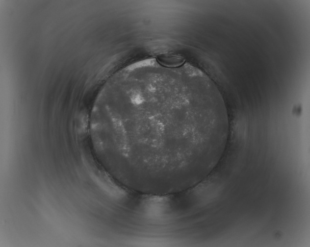 X0000111480081200907281213