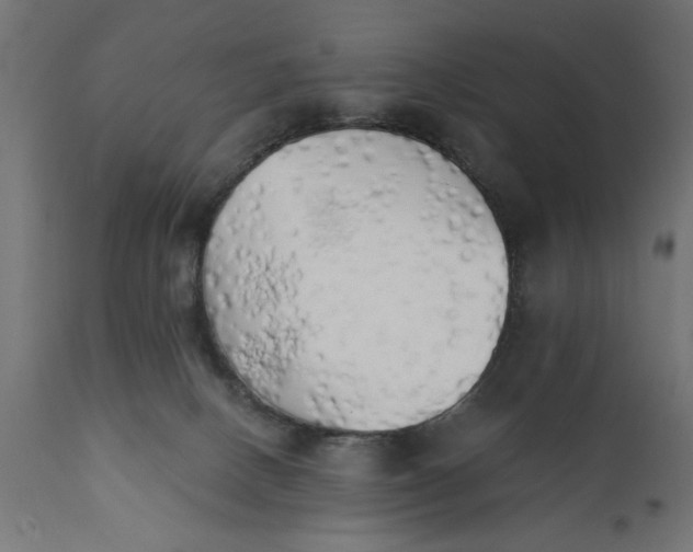 X0000111480082200907281213
