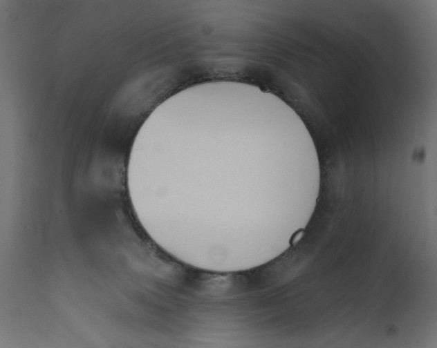 X0000111480083200907281213