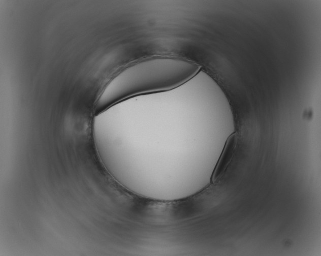 X0000111480084200907281213