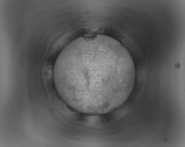 X0000111480085200907281213