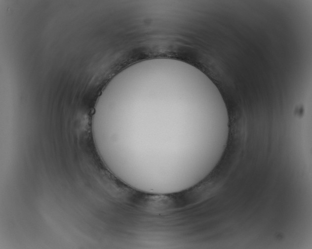 X0000111480087200907281213
