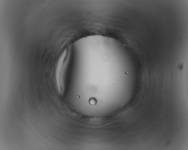 X0000111480088200907281213