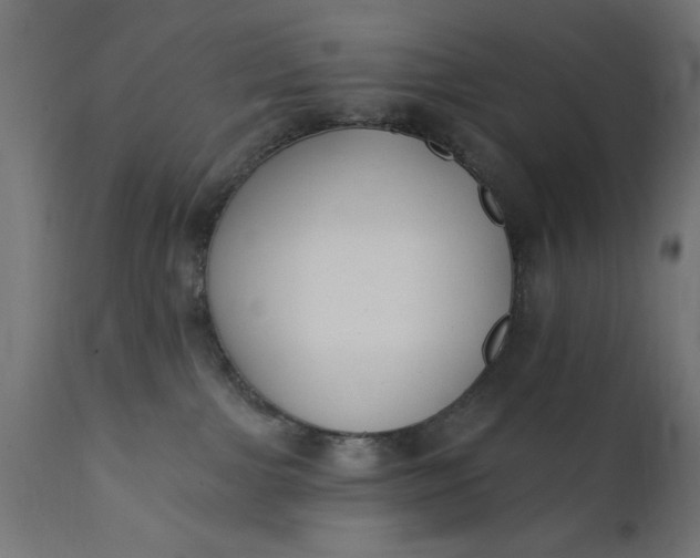 X0000111480091200907281213