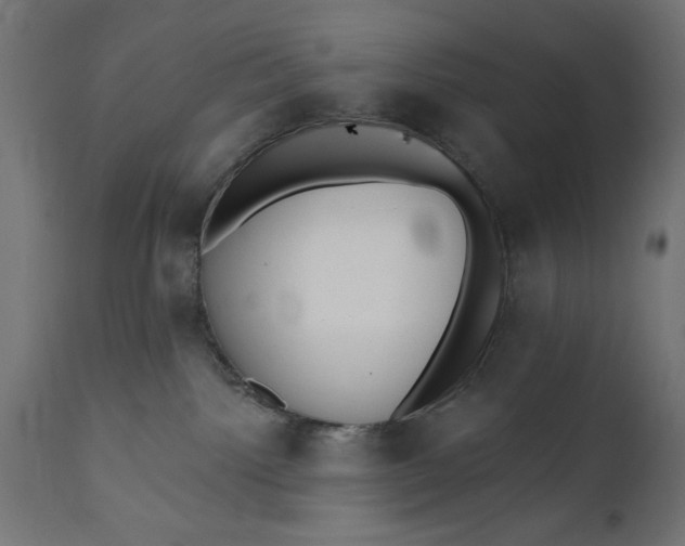 X0000111480092200907281213