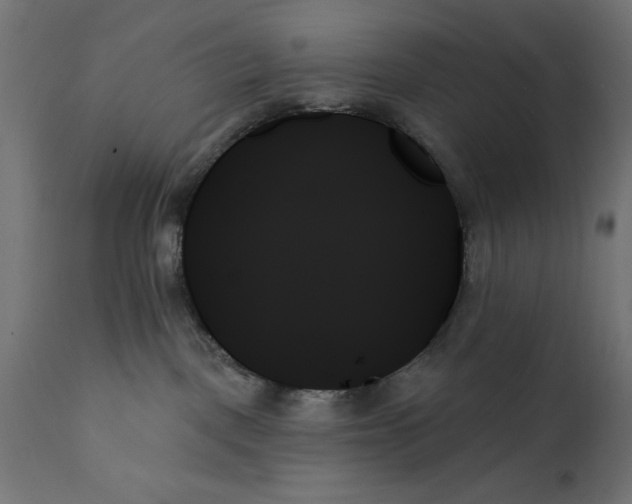 X0000111480093200907281213
