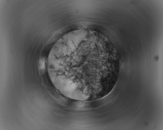 X0000111480094200907281213