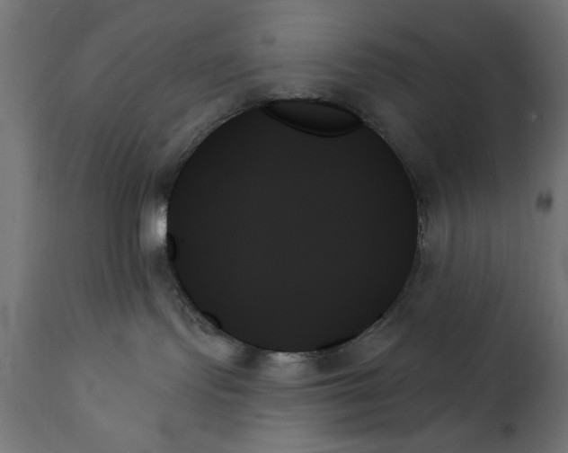 X0000111480095200907281213
