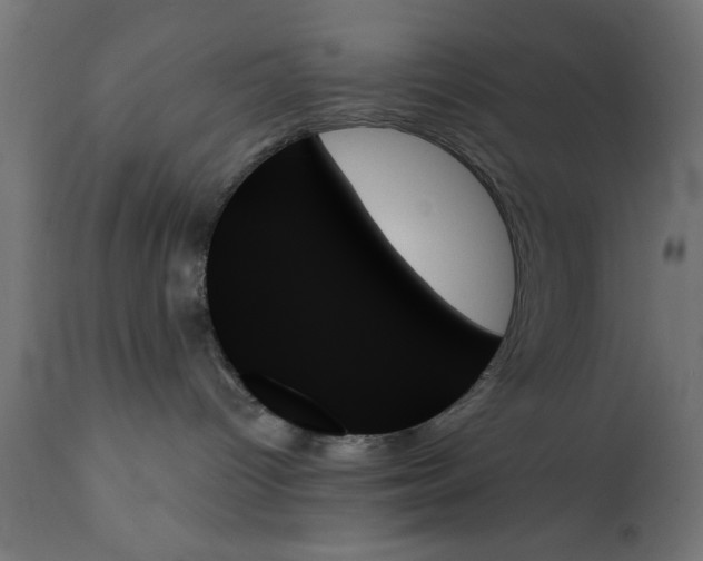 X0000111480096200907281213