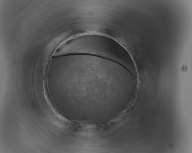 X0000111480097200907281212