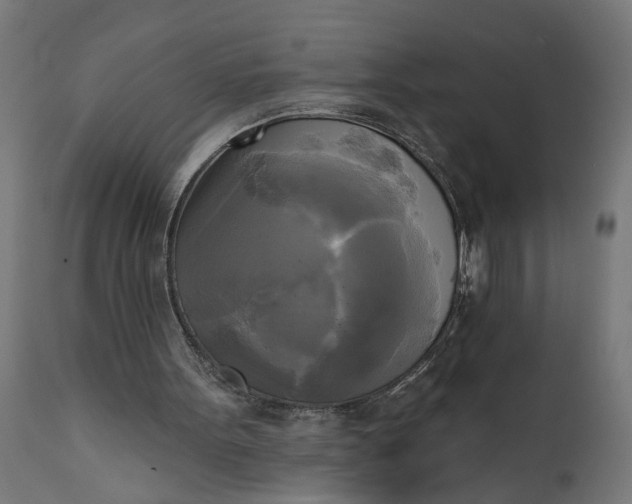 X0000111480099200907281212
