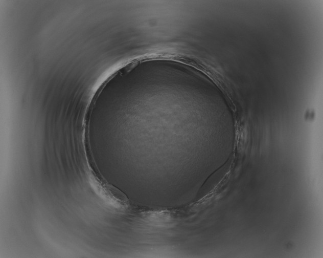 X0000111480100200907281212