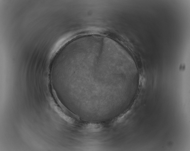 X0000111480101200907281212