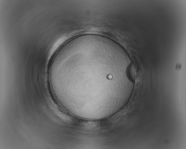 X0000111480102200907281212