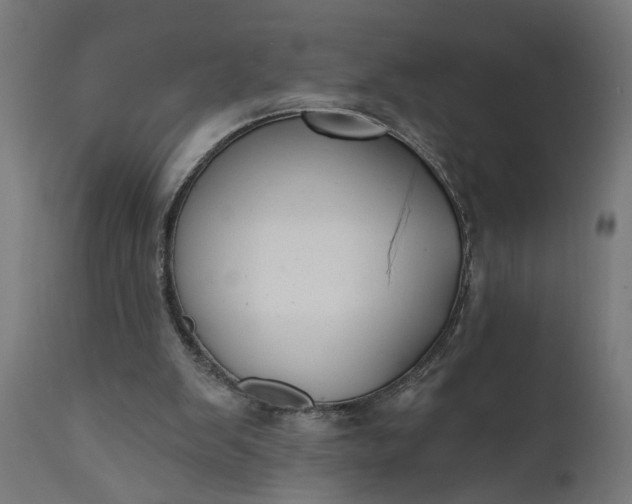 X0000111480103200907281212