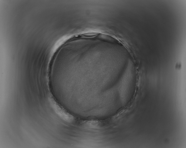 X0000111480104200907281212
