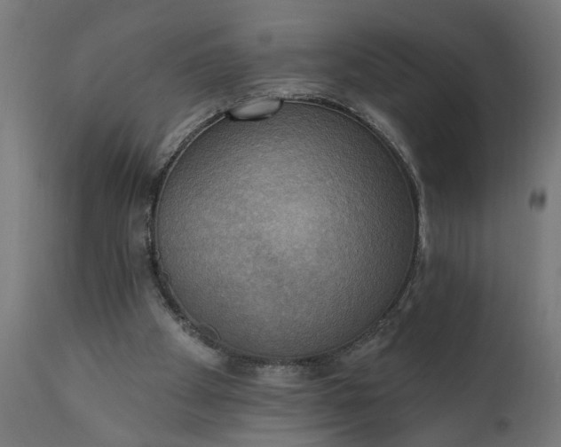 X0000111480105200907281212