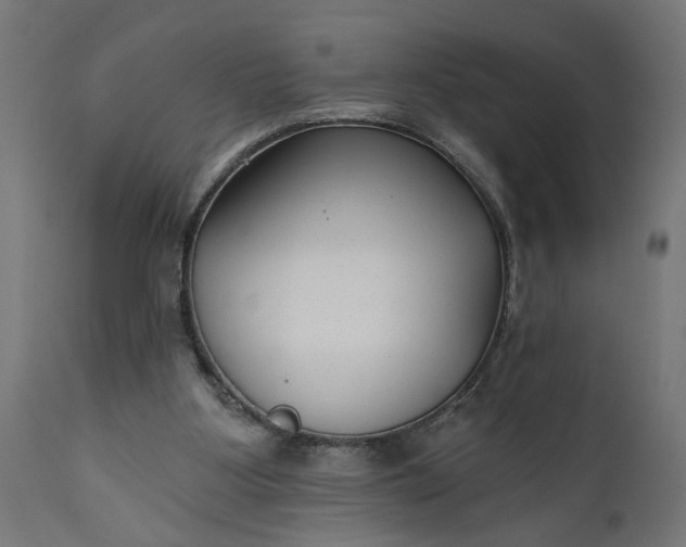 X0000111480107200907281212