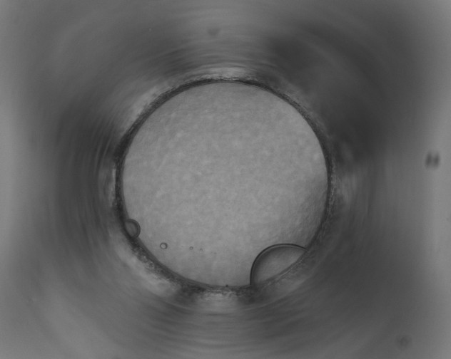 X0000111480110200907281212