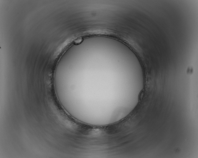 X0000111480111200907281212