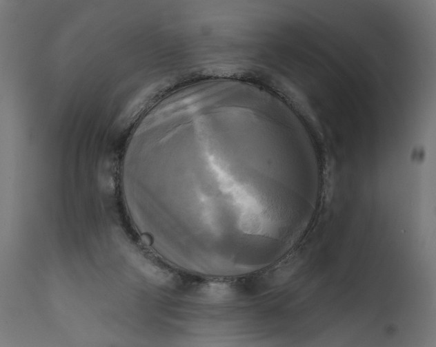 X0000111480114200907281212