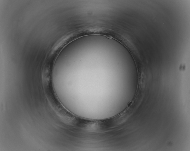 X0000111480116200907281212