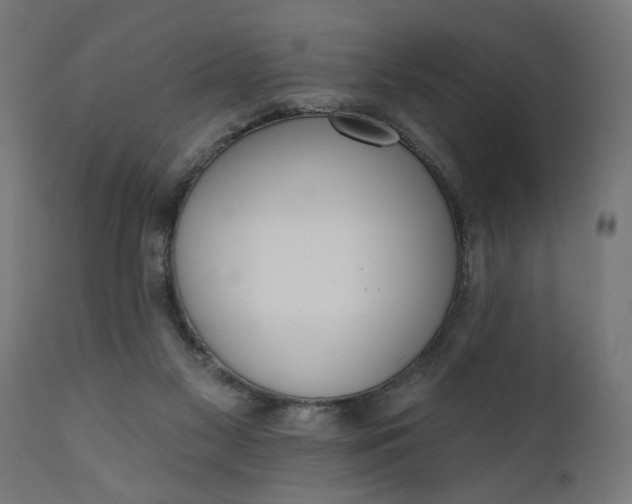 X0000111480117200907281212
