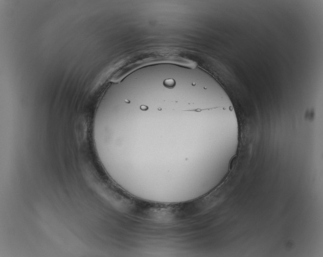 X0000111480120200907281212