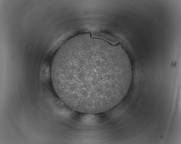 X0000111480123200907281212
