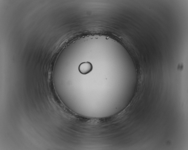 X0000111480124200907281212