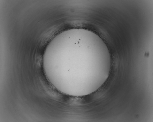 X0000111480125200907281212