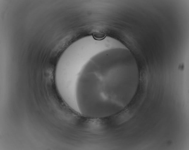 X0000111480127200907281212